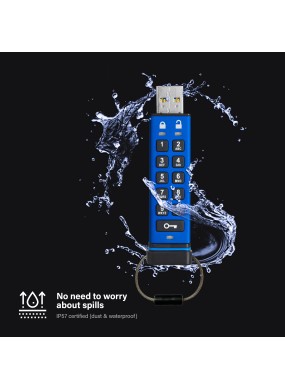 datAshur PRO USB 3 256 bit (4 GB bis 256 GB)