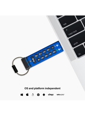 datAshur PRO USB 3 256 bit (4 GB bis 256 GB)