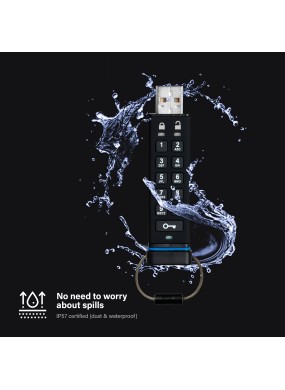 datAshur 256 bit - 8 GB