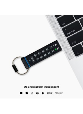 datAshur 256 bit - 8 GB