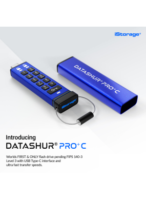 datAshur PRO+C USB 3 256 bit (32 GB bis 512 GB)