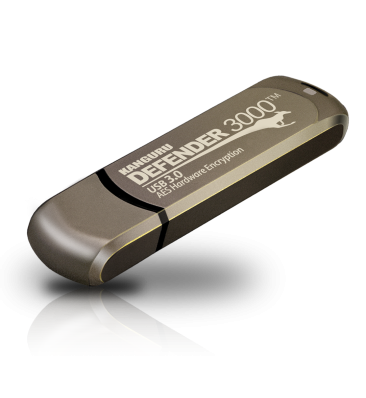 Defender 3000 USB 3 (16 GB bis 512 GB)