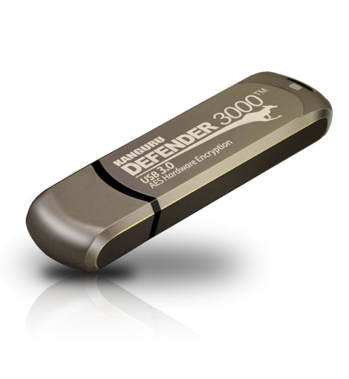 Defender 3000 USB 3 (16 GB bis 512 GB)