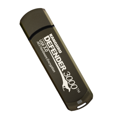 Defender 3000 USB 3 (16 GB bis 512 GB)