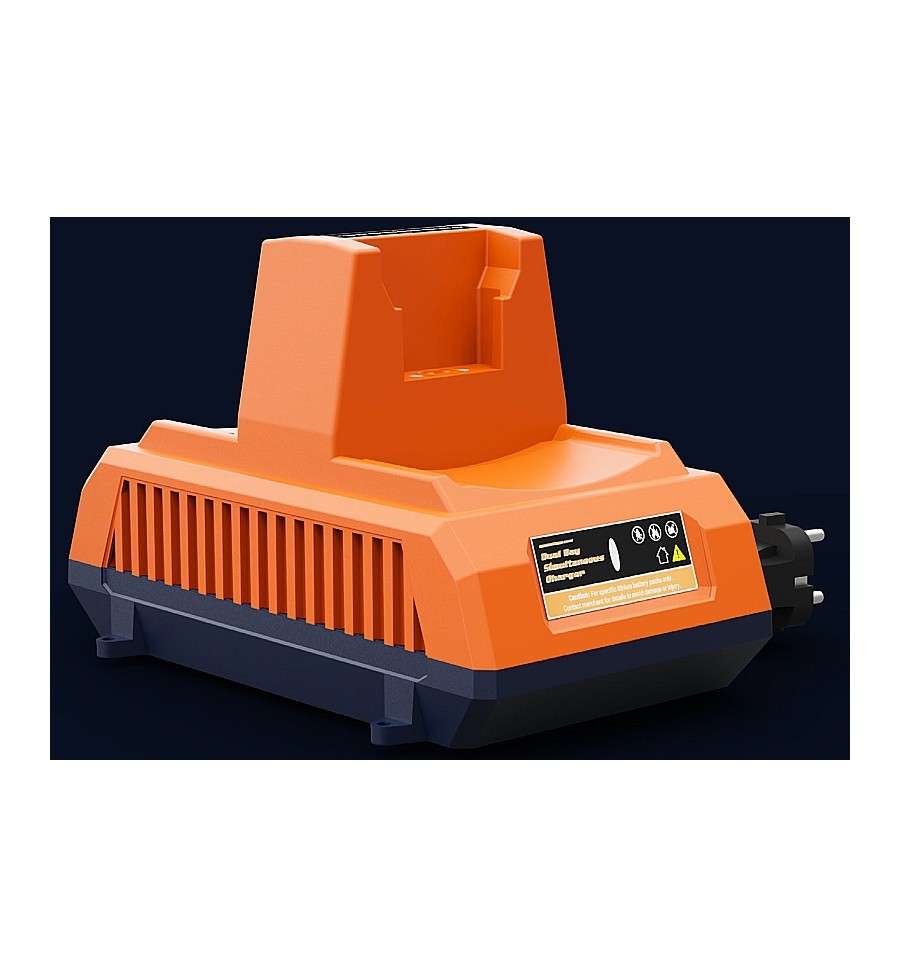 Ladegerät für 2 Akkus